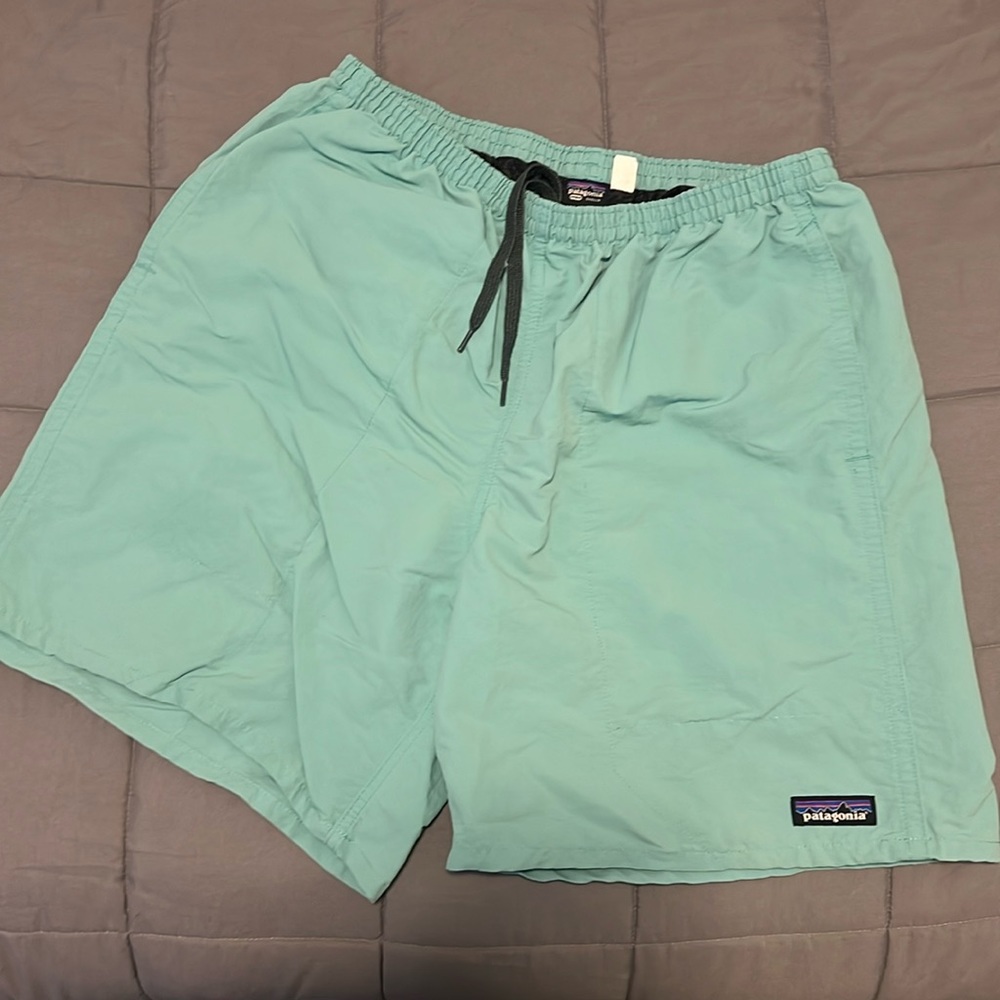 Blue green Patagonia shorts